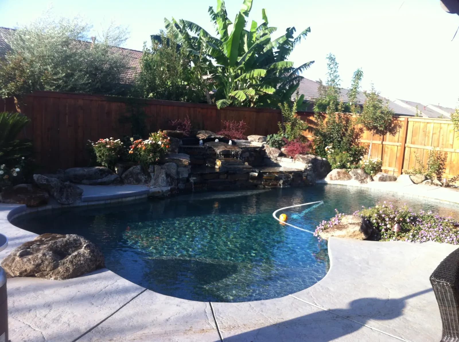 Backyard pool with landscaping and concrete