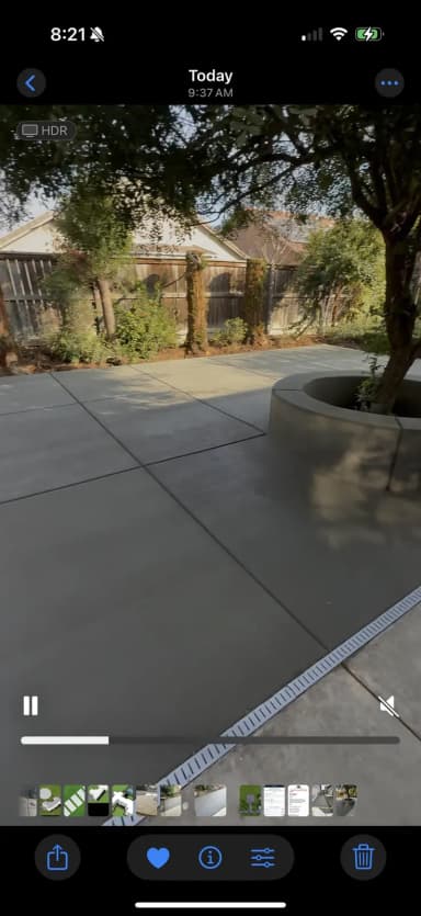 Concrete patio surface with tree shadows and curved border.