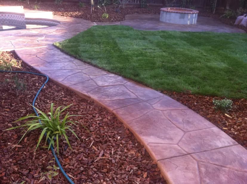 Yard sidewalk with landscaping and pavers
